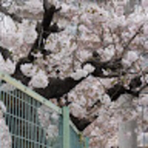 Meet your Posher, Vivia